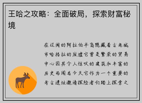 王哈之攻略：全面破局，探索财富秘境